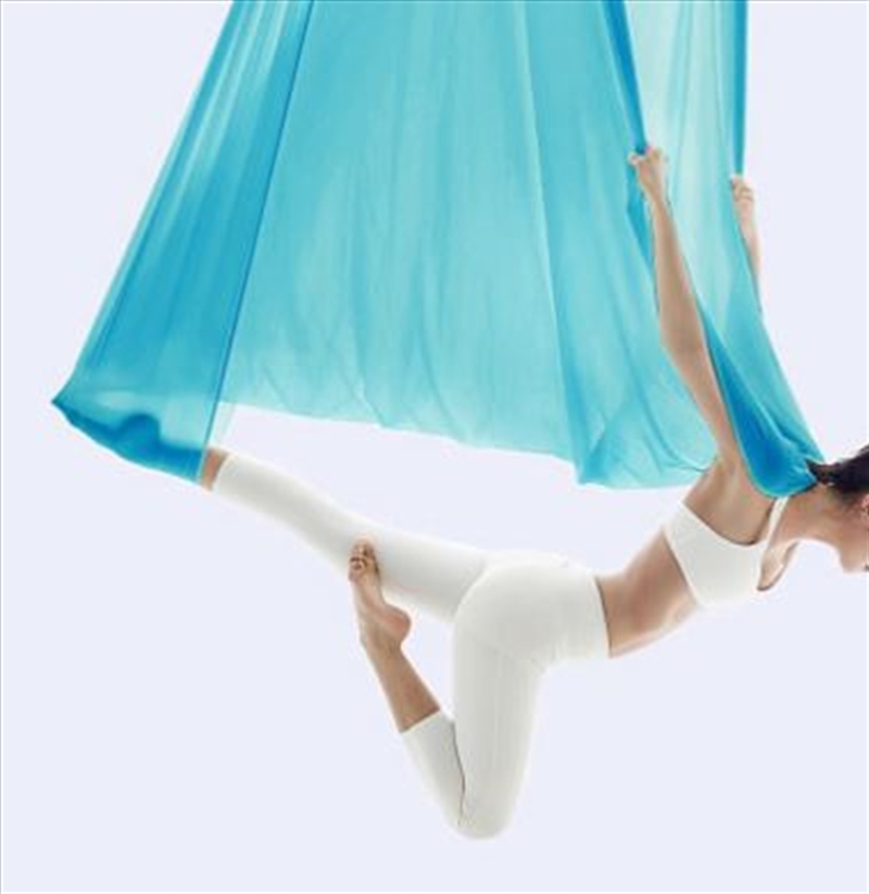 5x2.8m Yoga Pilates Aerial Silk Kit Swing Anti-Gravity Hammock/Product Detail/Gym Accessories