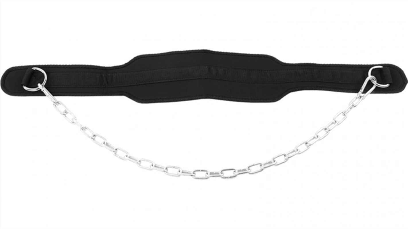 Dipping Dip Weight Lifting Belt/Product Detail/Gym Accessories