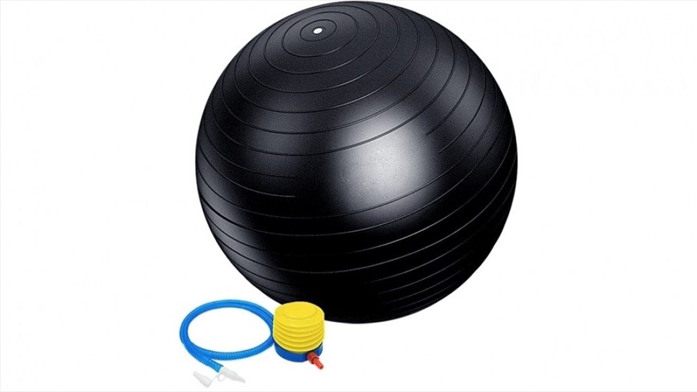 75cm Static Strength Exercise Stability Ball with Pump/Product Detail/Gym Accessories