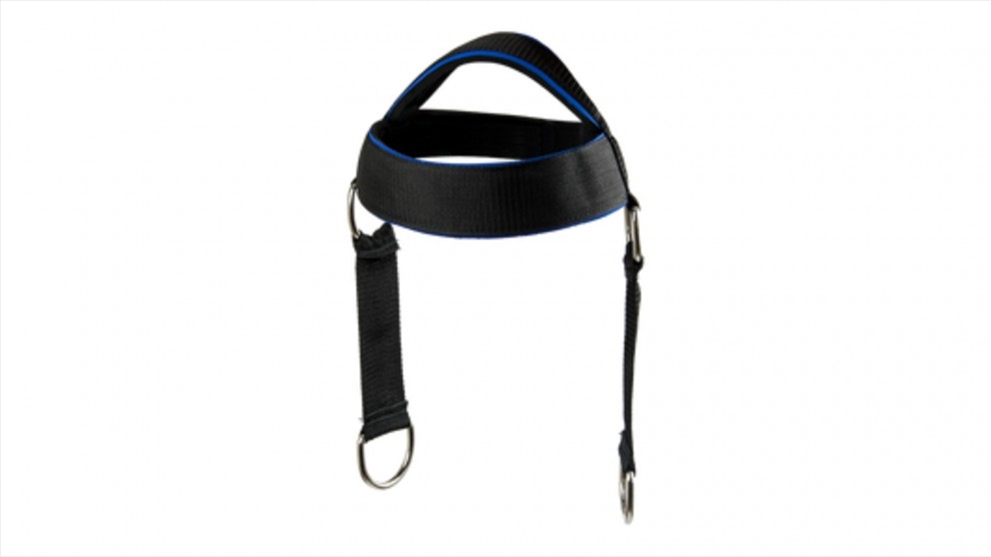 Head Harness Neck Support Lifting Weightlifting Strap/Product Detail/Gym Accessories