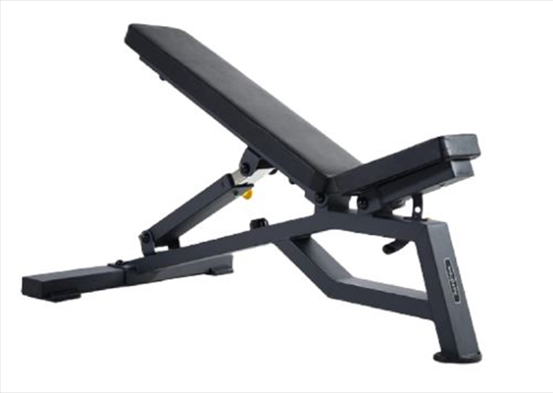 Sardine Sport Heavy Duty Bench Foldable Adjustable Commercial Grade Capacity 450kg(Black)/Product Detail/Gym Accessories