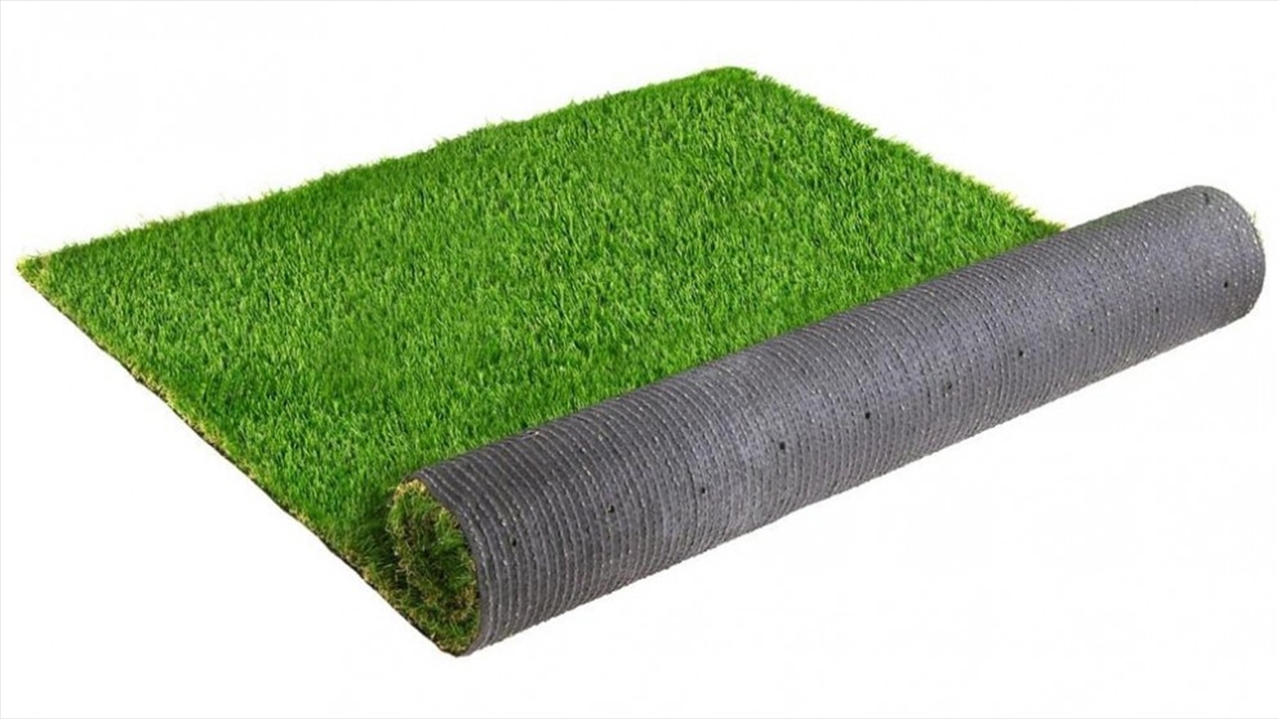 20mm 1mx10m 10sqm Synthetic Fake Turf/Product Detail/Sport & Outdoor