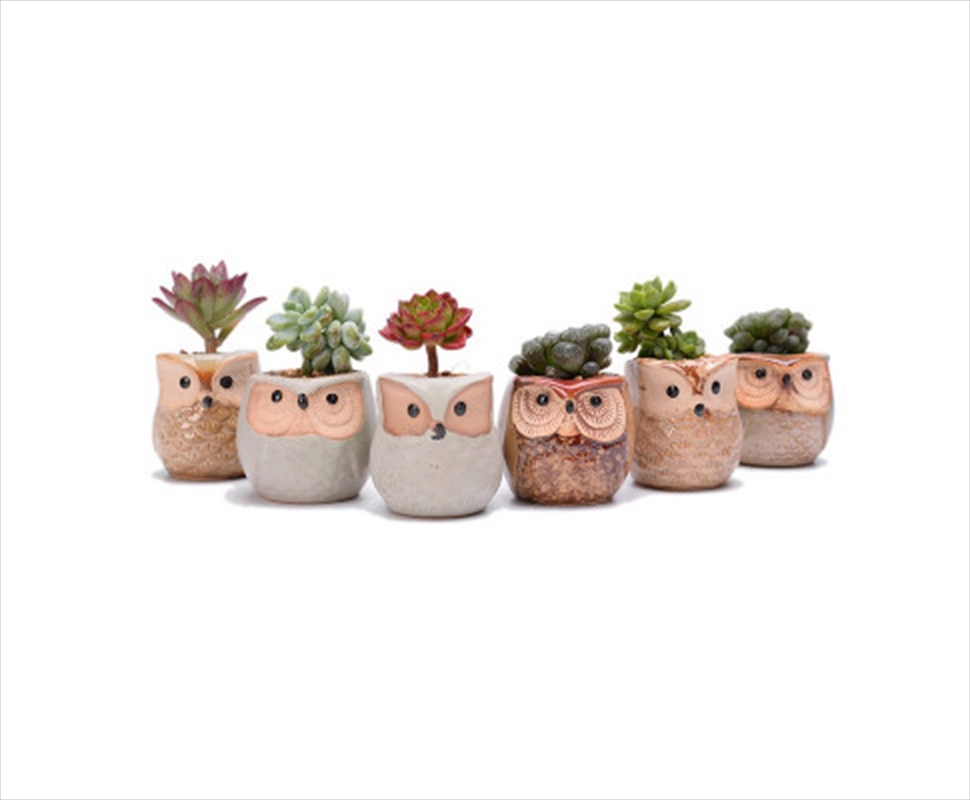 6pcs Mini Owl Plant Pots Ceramic/Product Detail/Decor