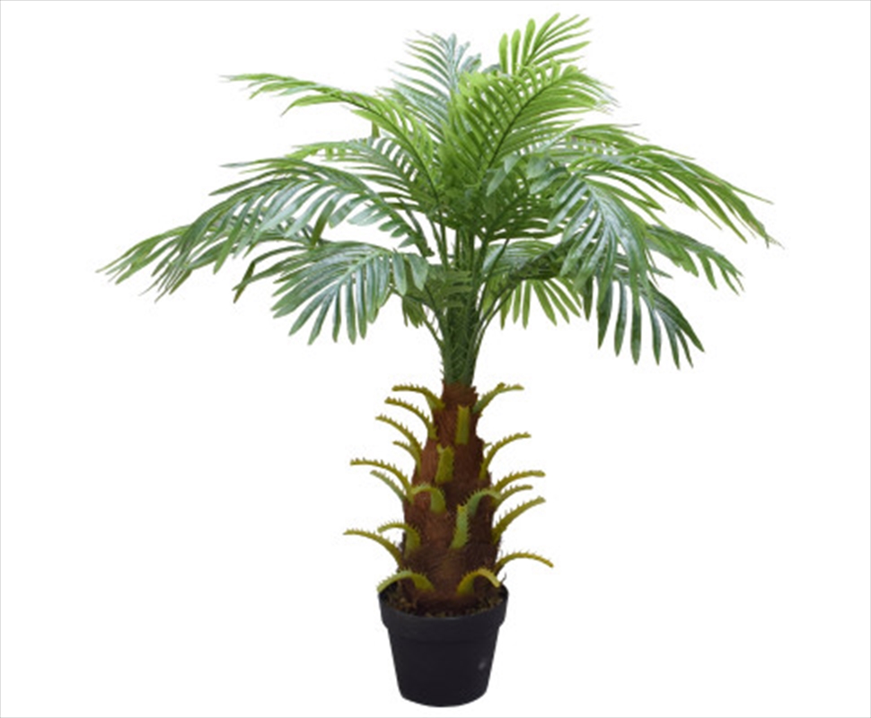 80cm Phoenix Palm/Product Detail/Sport & Outdoor