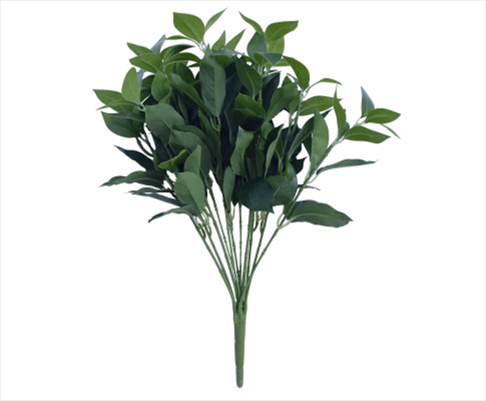 Bayleaf Foliage Bunch 45cm/Product Detail/Sport & Outdoor