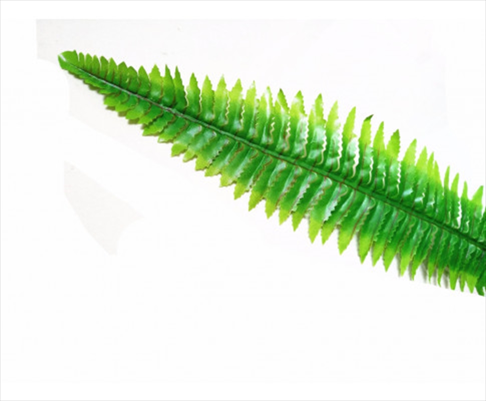 Boston Hanging Fern 102cm/Product Detail/Sport & Outdoor