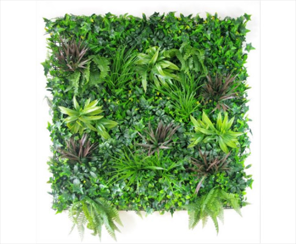 Coastal Greenery Vertical Garden / Green Wall UV Resistant 100cm x 100cm/Product Detail/Sport & Outdoor