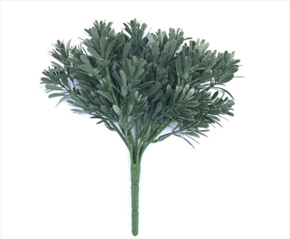 Cypress Bush Plant Stem Uv Resistant 25cm/Product Detail/Sport & Outdoor