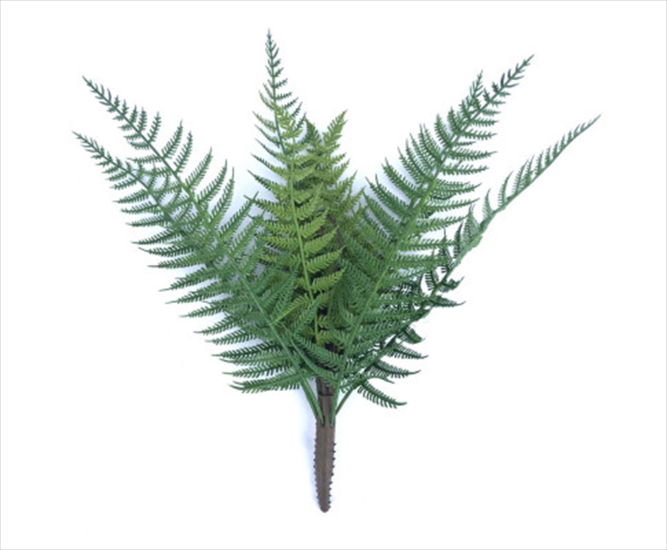 Dark Fern Stem Uv Resistant 38cm/Product Detail/Sport & Outdoor