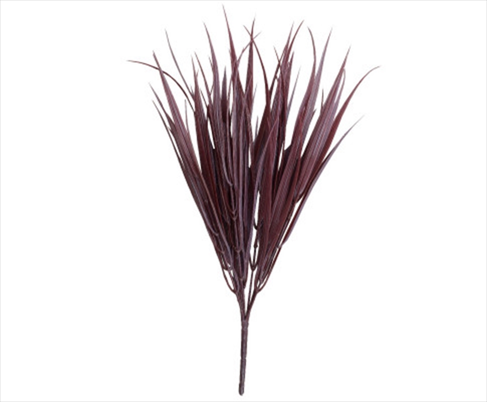 Dark Red Grass Stem 35cm Long/Product Detail/Sport & Outdoor