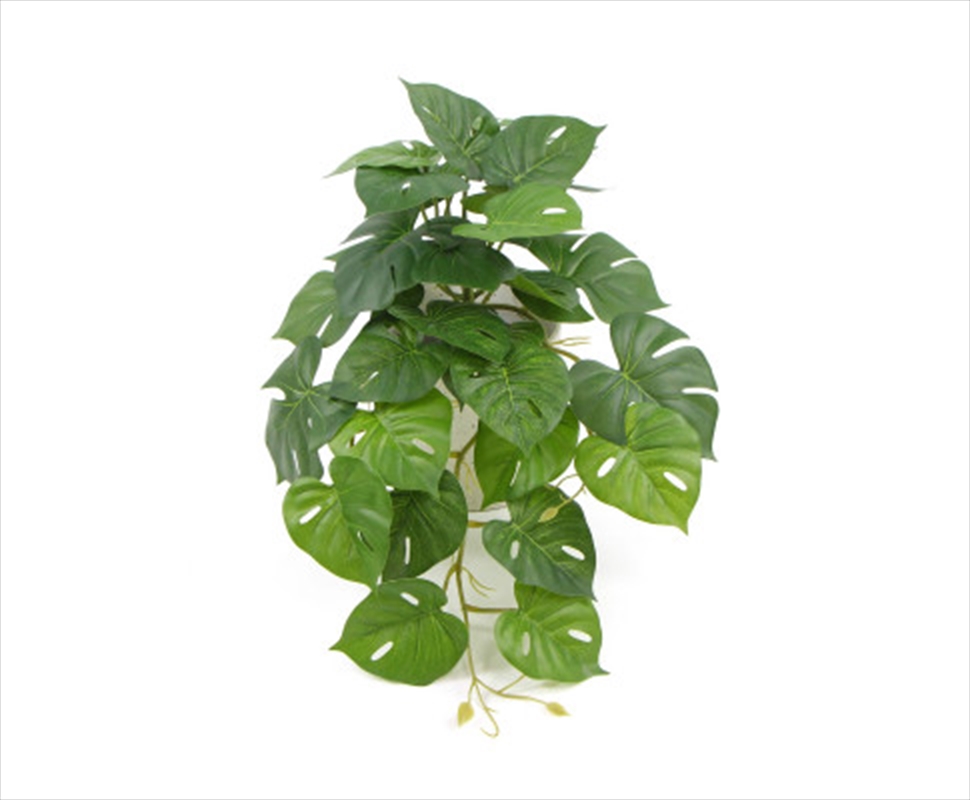 Decorative Ceramic Bowl Potted Artificial Monstera Plant 30cm/Product Detail/Sport & Outdoor