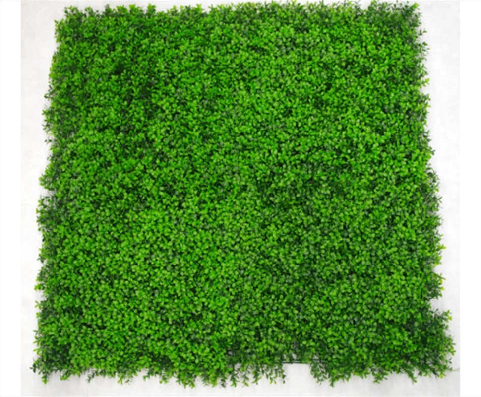 Deluxe Buxus Panels UV Stabilised 1m X 1m/Product Detail/Sport & Outdoor