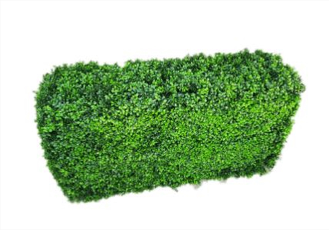 Deluxe Portable Buxus Bright UV Resistant 100cm Long x 50cm High x 25cm Wide/Product Detail/Sport & Outdoor