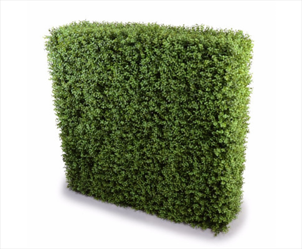 Deluxe Portable Buxus Hedges UV Stabilised 100cm Long X 100cm High/Product Detail/Sport & Outdoor