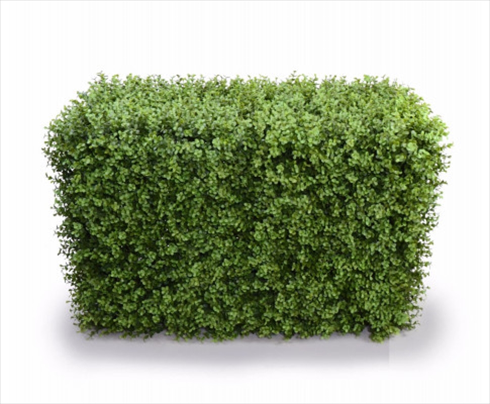 Deluxe Portable Buxus Hedges UV Stabilised 100cm Long X 55cm High/Product Detail/Sport & Outdoor