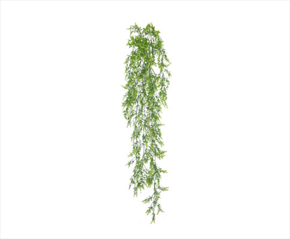 Dense Hanging Evergreen Plant UV Resistant 80cm/Product Detail/Sport & Outdoor