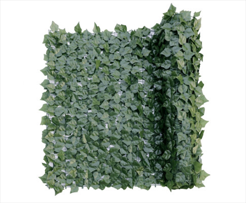 Double Sided Ivy Rolls 3m X 1m/Product Detail/Sport & Outdoor