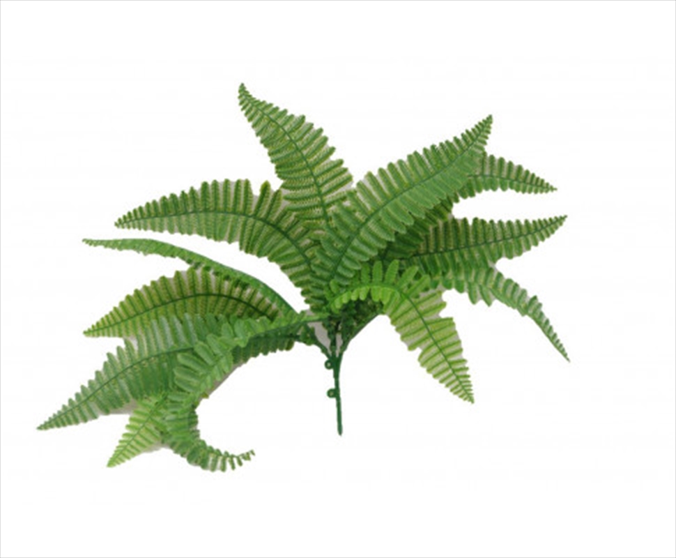 Fern Stem Uv/Product Detail/Sport & Outdoor