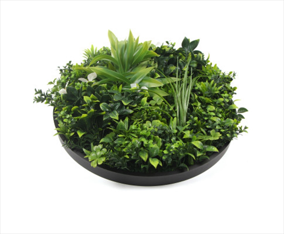 Flowering White Disc UV Resistant 100cm (Black Frame)/Product Detail/Sport & Outdoor