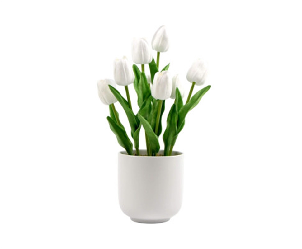 Flowering White Tulip Plant Arrangement With Ceramic Bowl 35cm/Product Detail/Sport & Outdoor