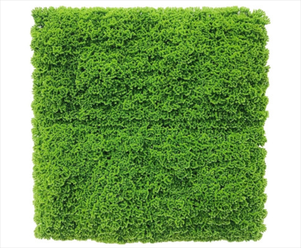 Fresh Natural Green Moss / UV Resistant 1m x 1m/Product Detail/Sport & Outdoor