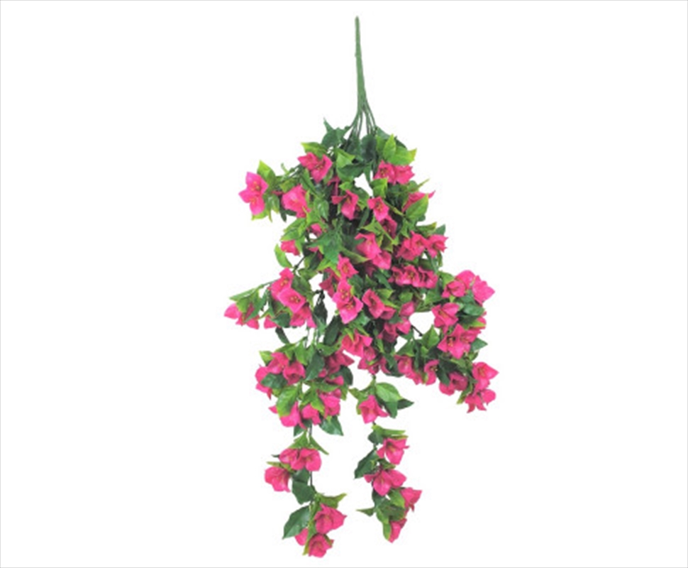 Hanging Bougainvillea Plant (Pink / Lilac) UV Resistant 90cm/Product Detail/Sport & Outdoor