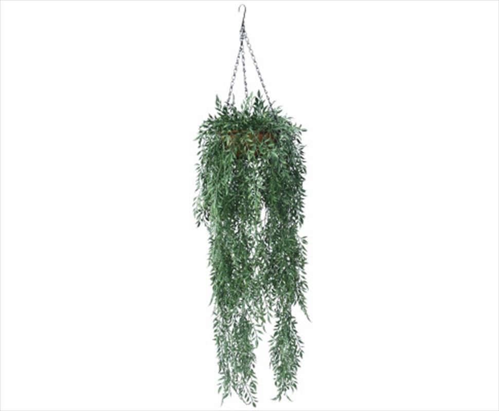 Hanging Fern Basket 110 Cm/Product Detail/Sport & Outdoor