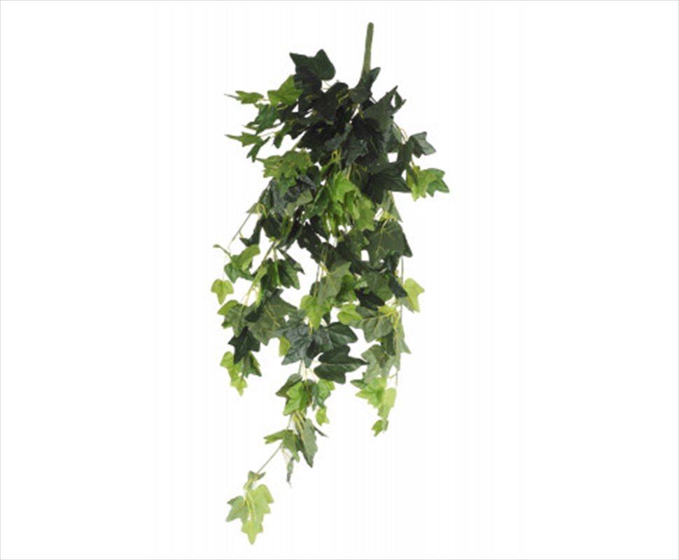 Hanging Green Ivy Bush 80cm/Product Detail/Sport & Outdoor