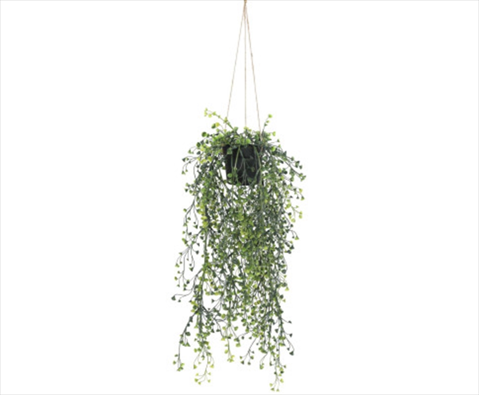 Hanging Pearls Potted 56cm UV Resistant/Product Detail/Sport & Outdoor