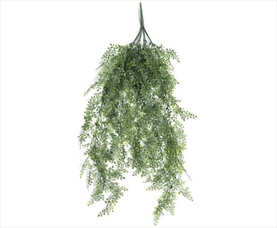 Hanging Plant Maiden Hair Fern UV Resistant 90cm/Product Detail/Sport & Outdoor