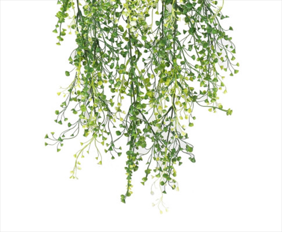 Hanging Plant Mixed Green String of Pearls UV Resistant 90cm/Product Detail/Sport & Outdoor