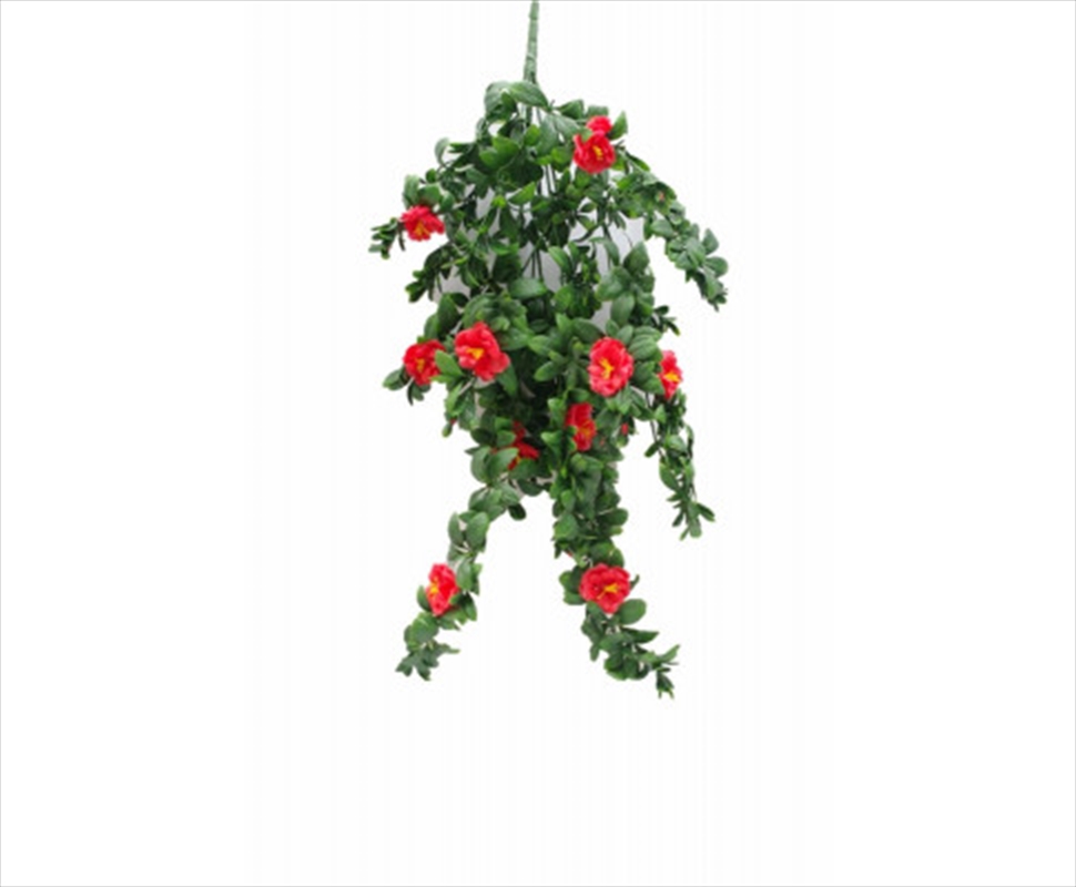 Hanging Red Rose Stem Uv 85cm/Product Detail/Sport & Outdoor