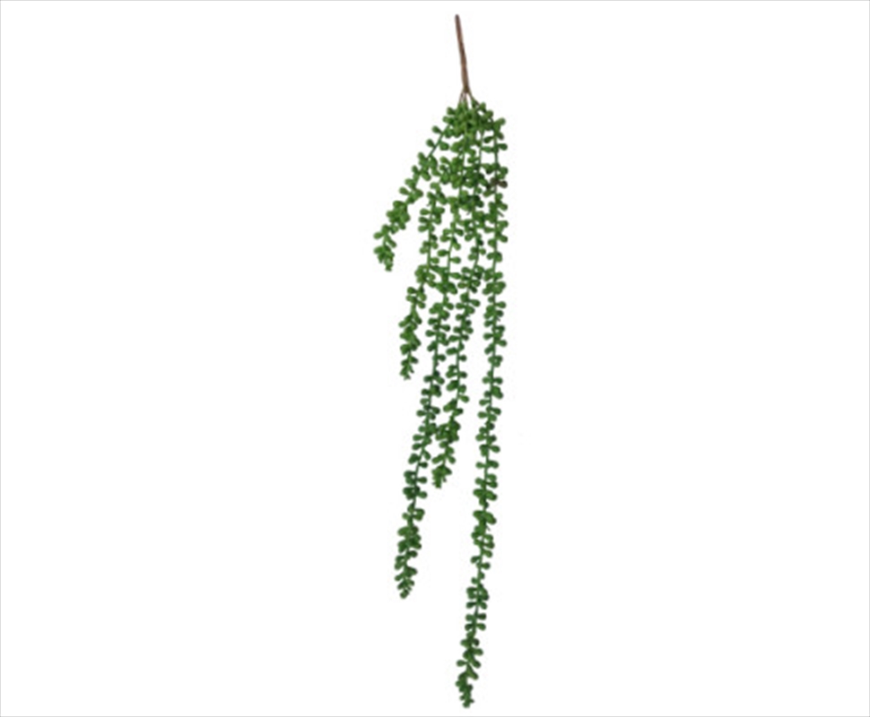 Hanging Succulent String Of Pearl Beads 75cm/Product Detail/Sport & Outdoor