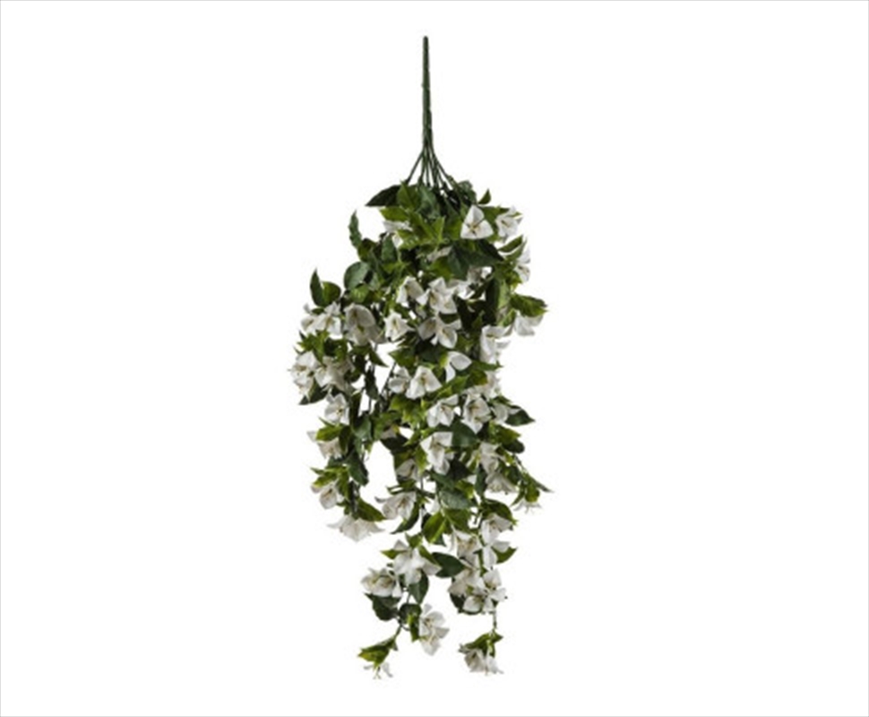 Hanging White Bougainvillea Plant UV Resistant 90cm/Product Detail/Sport & Outdoor