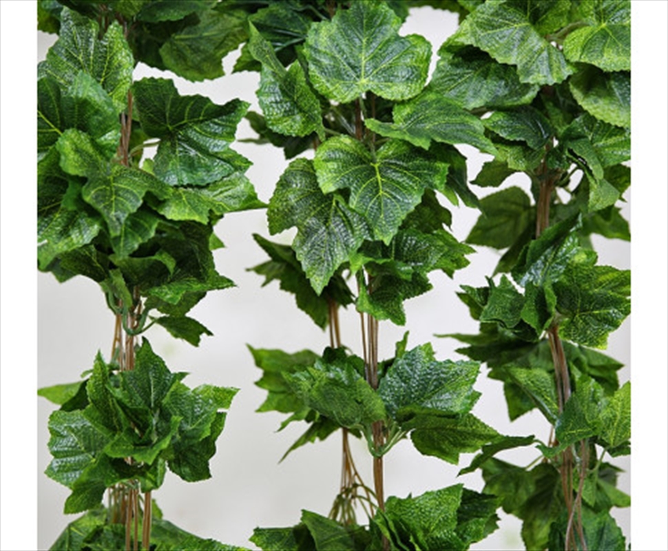 Ivy Garland Vines 260cm Each - 5 Per Pack/Product Detail/Sport & Outdoor