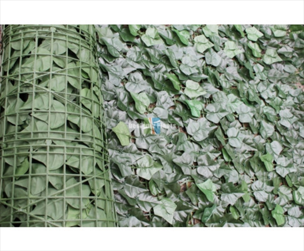 Ivy Leaf Hedging 3m X 1m Roll/Product Detail/Decor