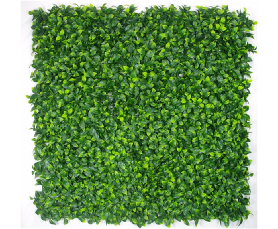 Jasmine Leaf Screens / Panels UV Stabilised 1m X 1m/Product Detail/Sport & Outdoor