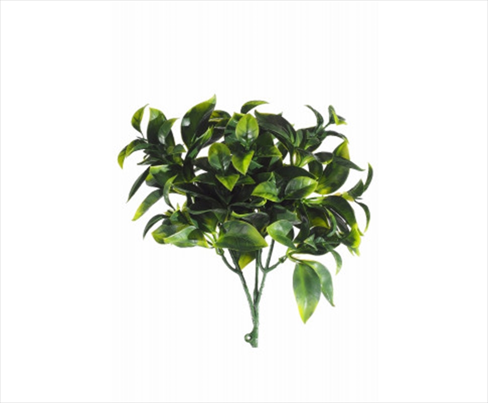 Jasmine Stem Uv 25cm/Product Detail/Sport & Outdoor