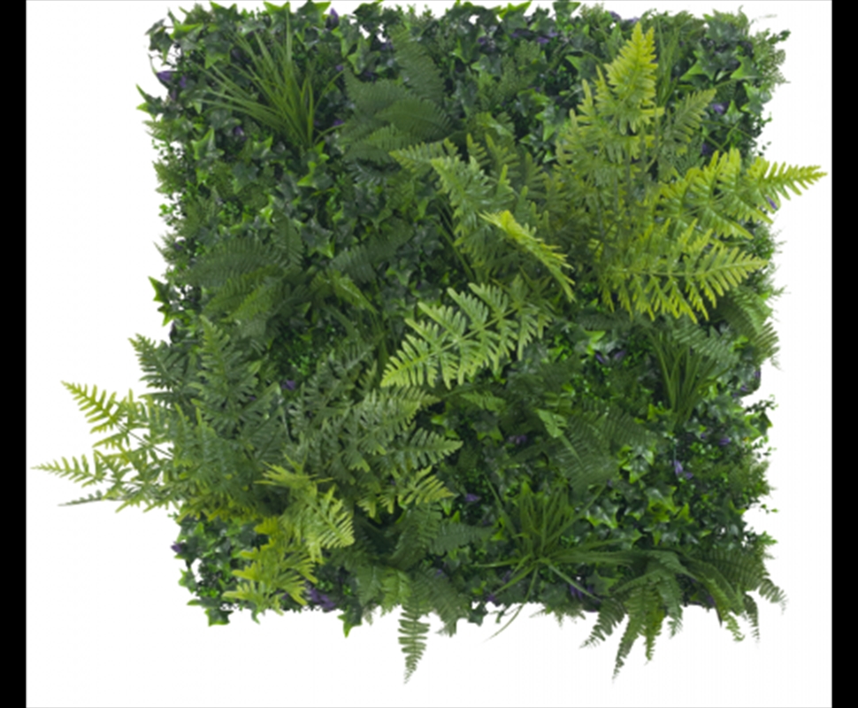 Jungle Fern Vertical Garden / Green Wall UV Resistant 1m x 1m/Product Detail/Sport & Outdoor