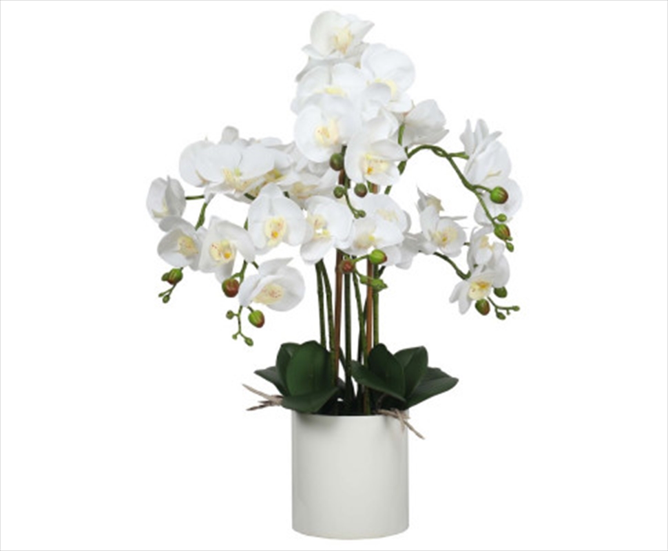 Large Multi-Stem White Potted Faux Orchid 65cm/Product Detail/Sport & Outdoor