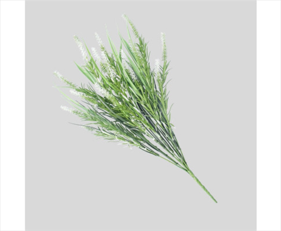 Long Stem White Lavender 50cm UV Resistant/Product Detail/Sport & Outdoor