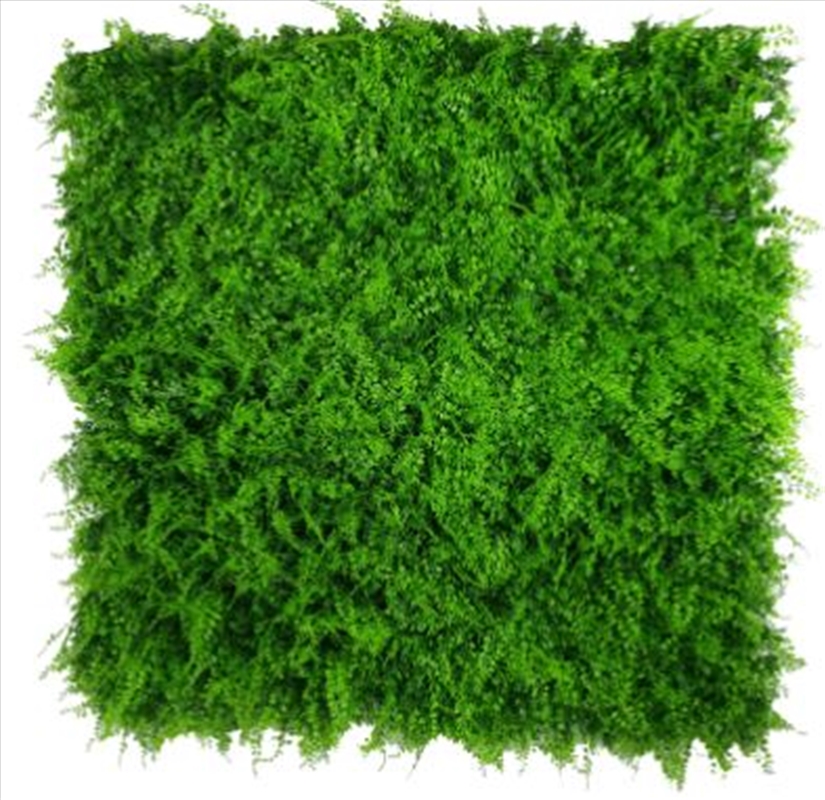 Mediterranean Fern Vertical Garden UV Stabilised 1m X 1m/Product Detail/Sport & Outdoor