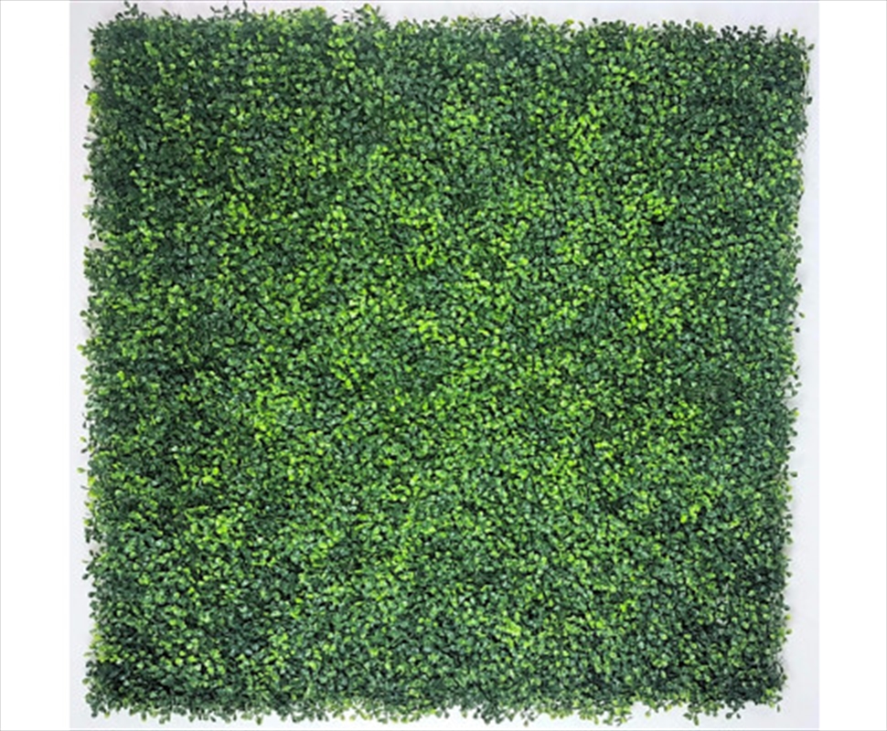 Mixed Boxwood Hedge Panels / Screens UV Resistant 1m x 1m/Product Detail/Sport & Outdoor