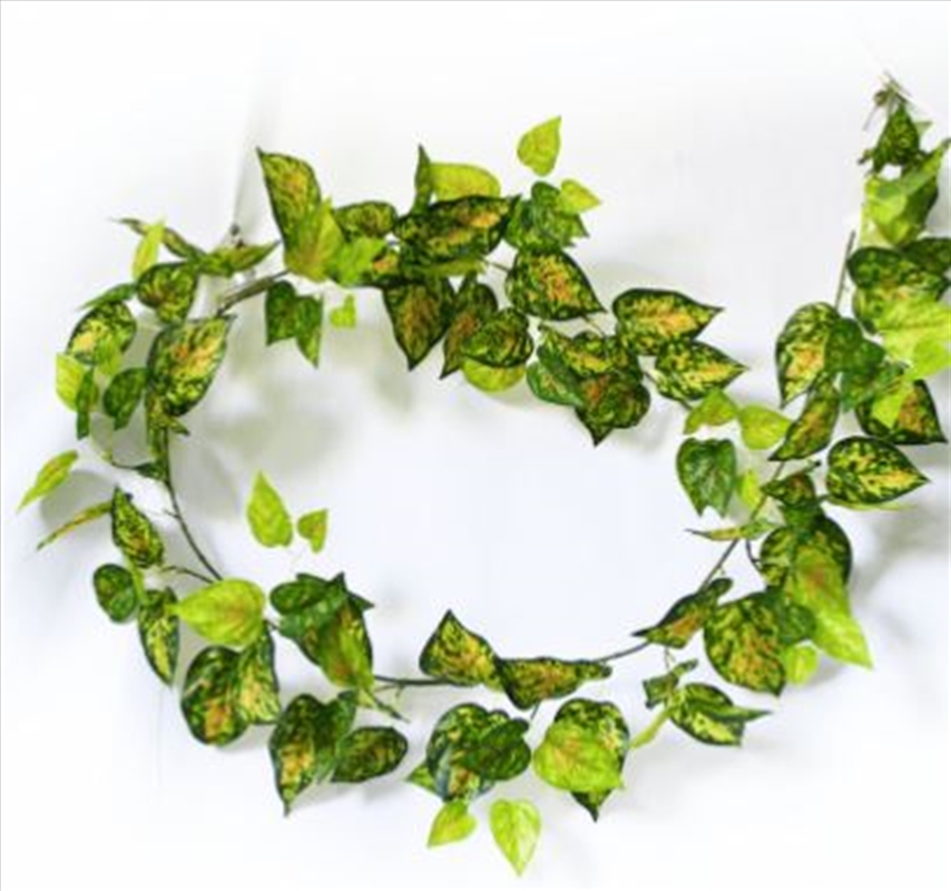 Mixed Yellow And Red Pothos Garland 190cm/Product Detail/Sport & Outdoor