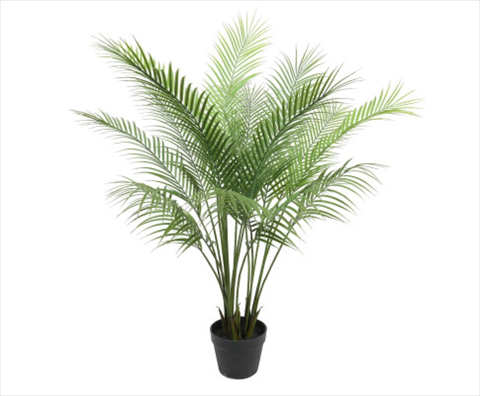 Modern Bushy Areca Fern Tree 120cm/Product Detail/Sport & Outdoor