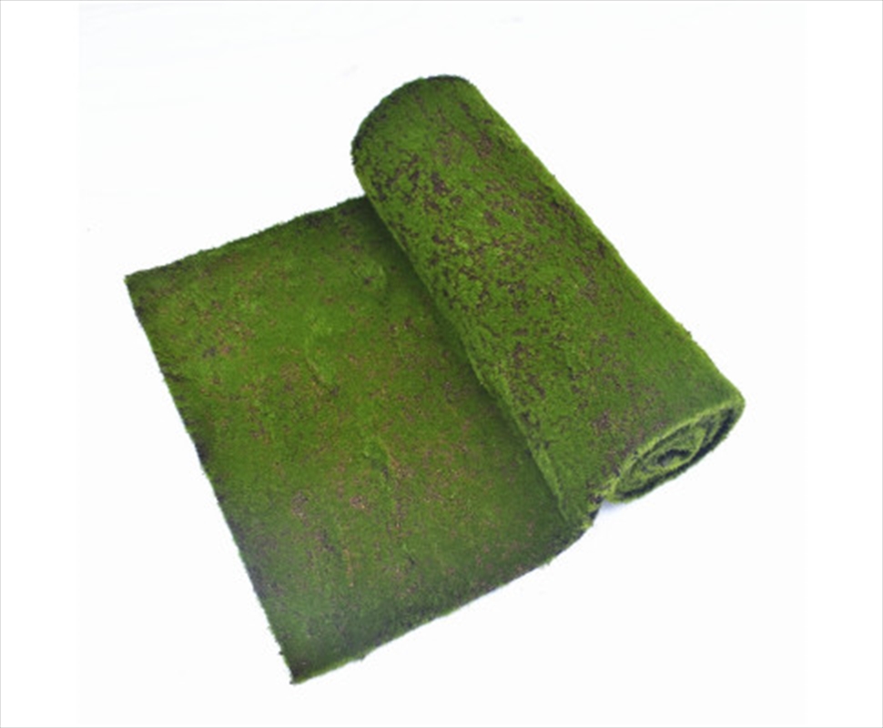 Moss Wall Covering 200cm X 50cm/Product Detail/Sport & Outdoor