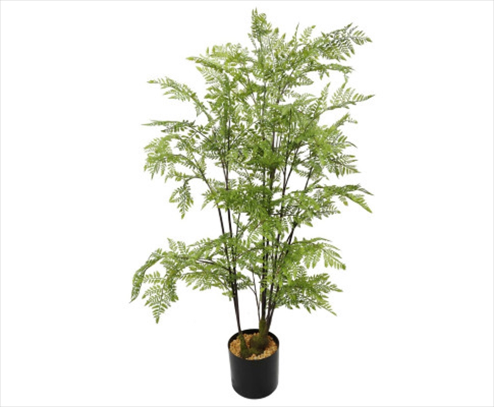 Natural Fern Tree 90cm/Product Detail/Sport & Outdoor