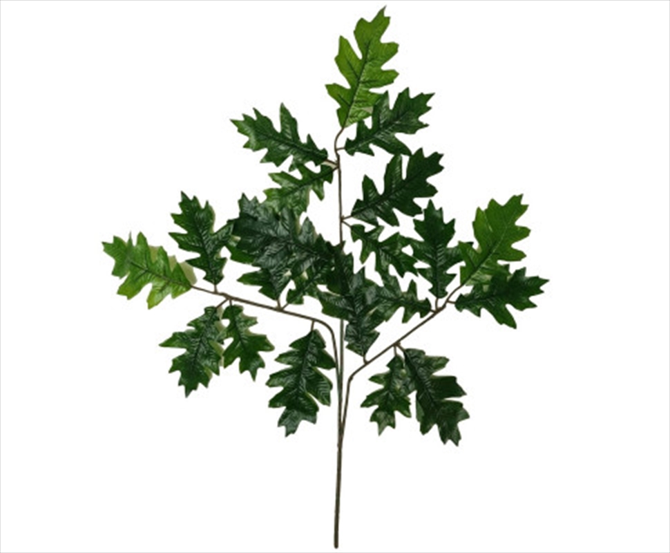 Oak Leaves Plant Leaves 63cm/Product Detail/Sport & Outdoor