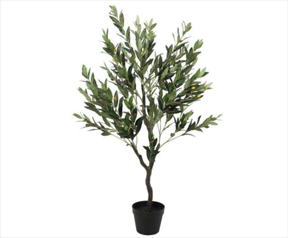 Olive Tree With Olives 125cm/Product Detail/Sport & Outdoor