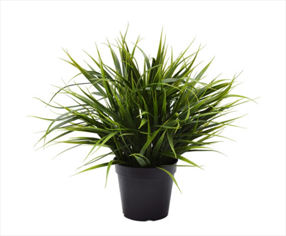 Ornamental Potted Dense Green Grass 38cm/Product Detail/Sport & Outdoor